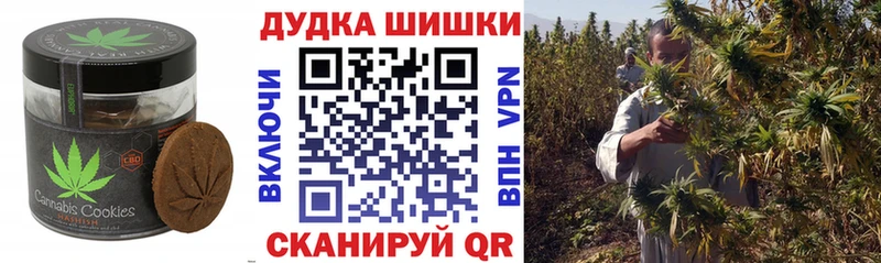 Купить закладки  Новозыбков  Печенье с ТГК конопля 