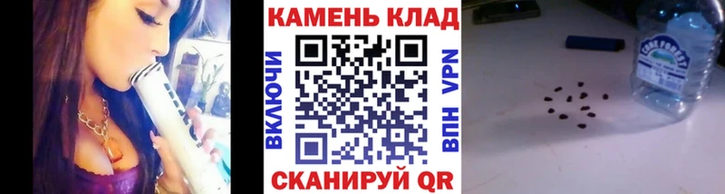 ГАШ VHQ  Купить  Новозыбков 