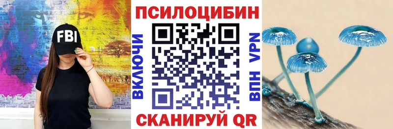 Псилоцибиновые грибы GOLDEN TEACHER  Купить где  Новозыбков 