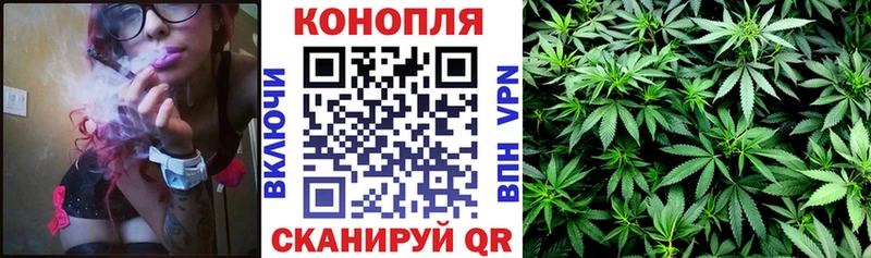 Каннабис сатива  Купить где  Новозыбков 